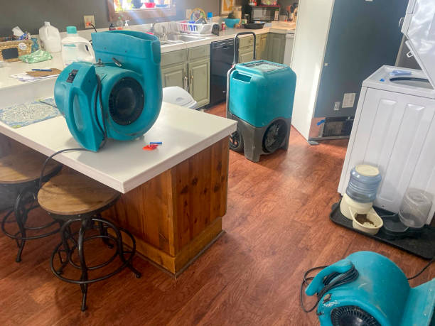 Trusted Roanoke Rapids, NC Water damage restoration Experts