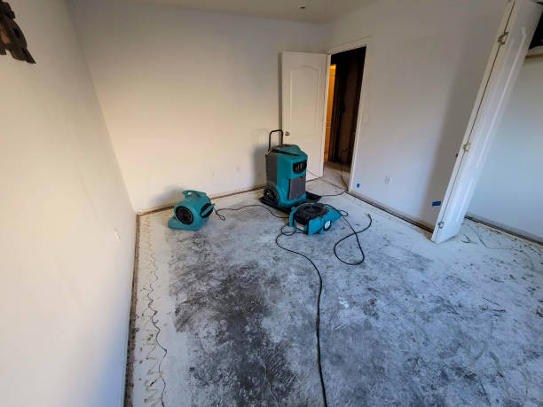 Best Water damage restoration near me  in Roanoke Rapids, NC
