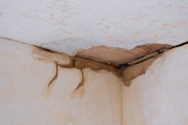Best Flooded house restoration  in Roanoke Rapids, NC