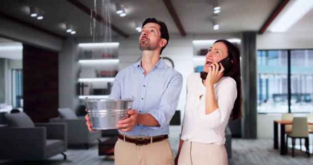 Best Water damage restoration process  in Roanoke Rapids, NC